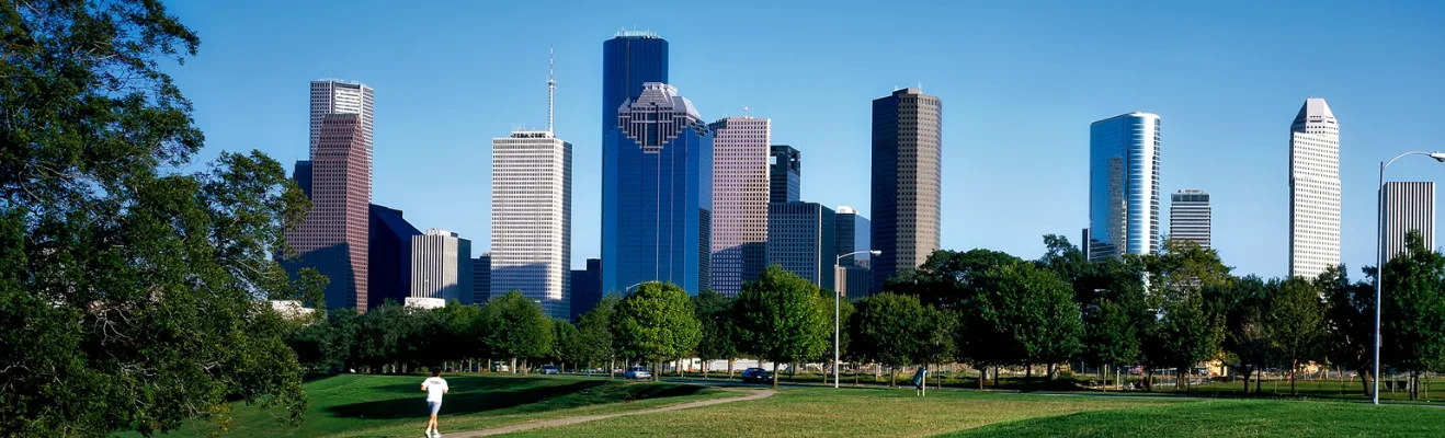 SEO Services Houston